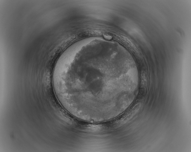X0000115090457200911101527