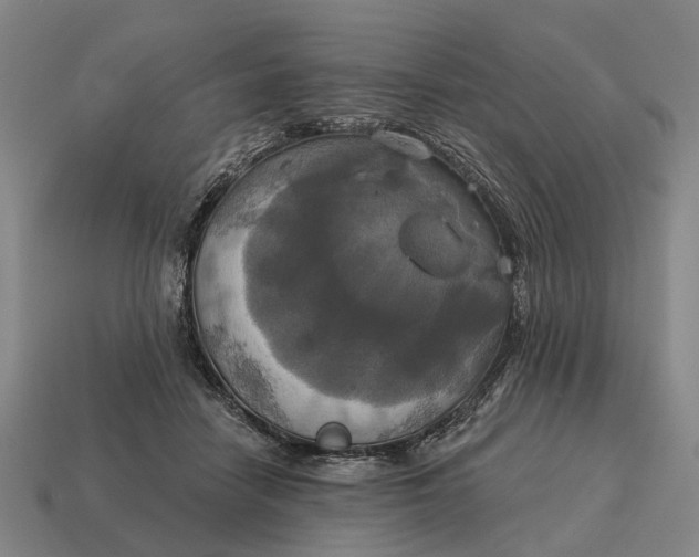 X0000115090458200911101527