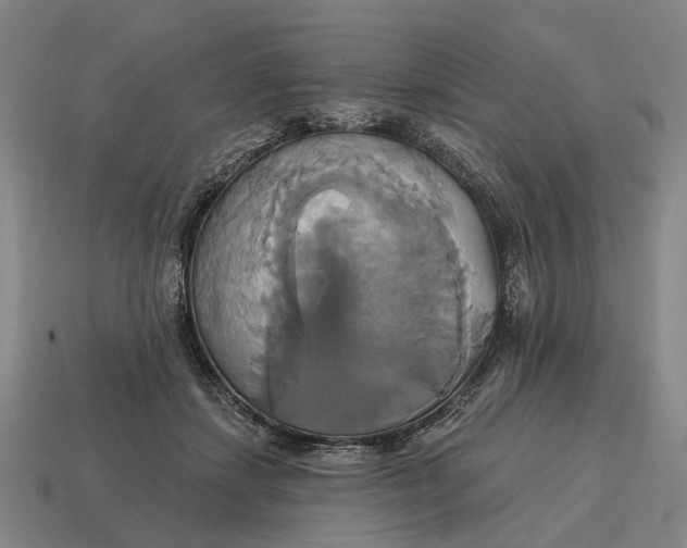 X0000115090459200911101527
