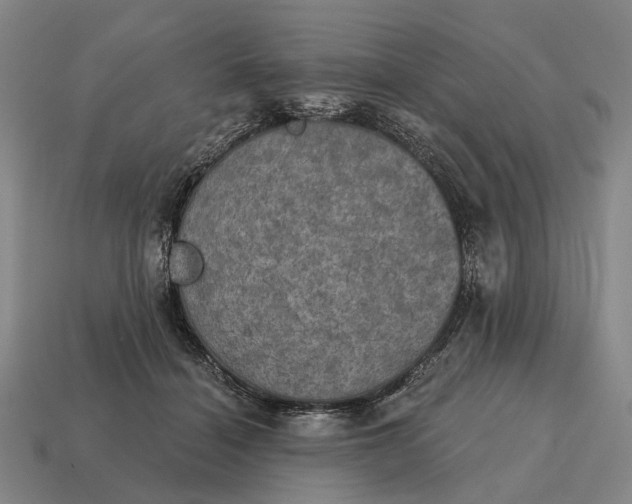 X0000115090460200911101527