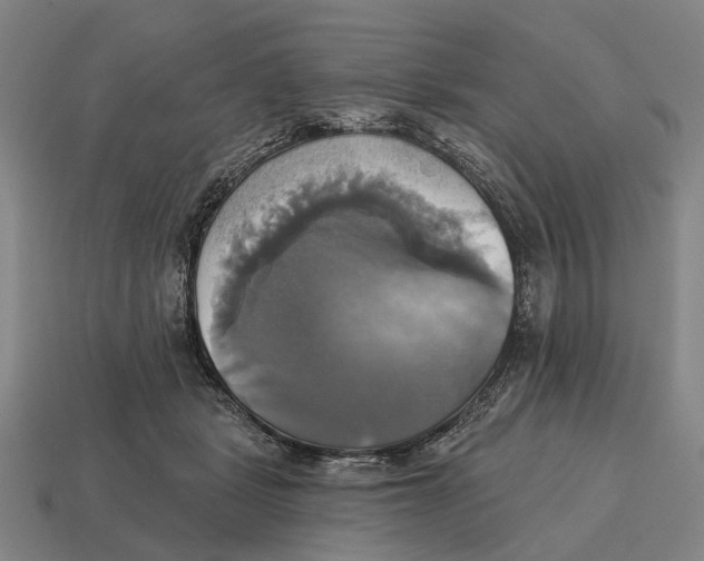 X0000115090461200911101527