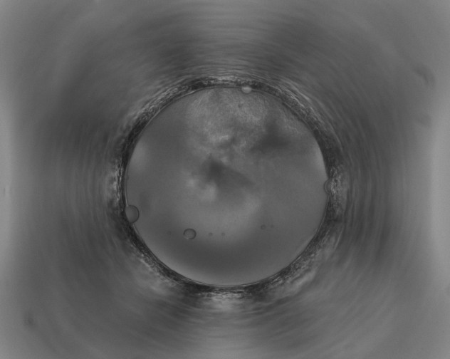 X0000115090462200911101527