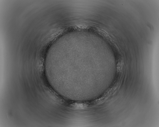 X0000115090464200911101527