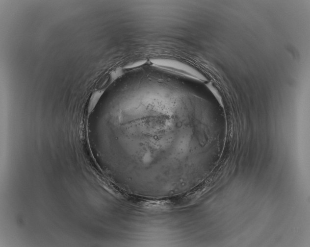 X0000115090465200911101527
