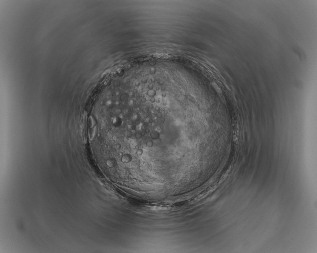 X0000115090466200911101527