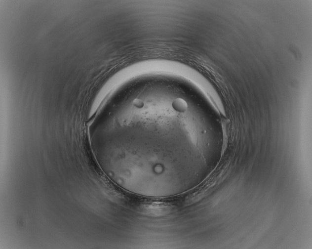 X0000115090467200911101527