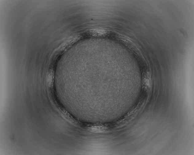 X0000115090468200911101527