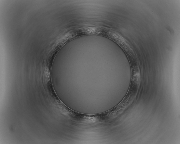 X0000115090469200911101527