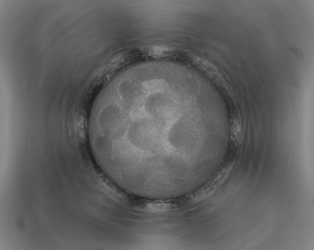 X0000115090470200911101527
