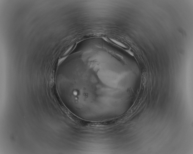 X0000115090471200911101527