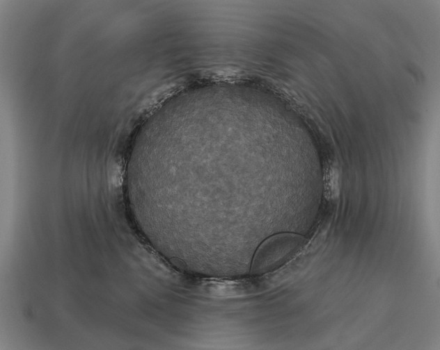 X0000115090472200911101527
