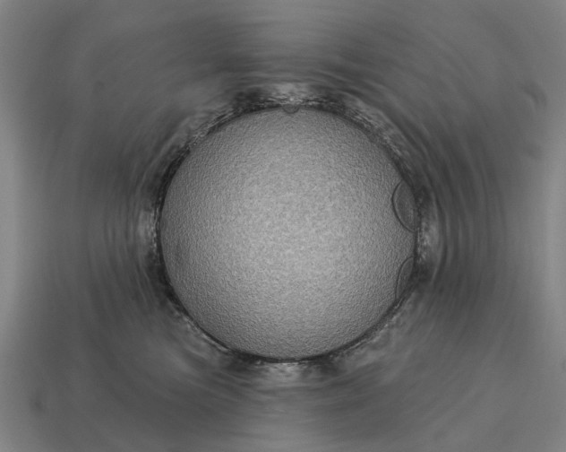 X0000115090473200911101527