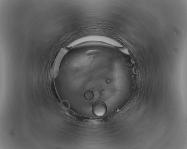 X0000115090475200911101527