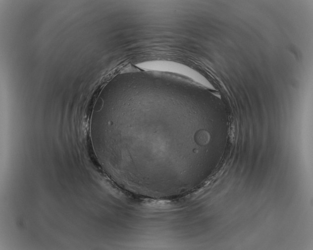 X0000115090476200911101527