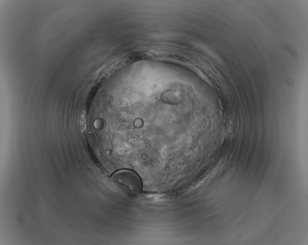X0000115090478200911101527