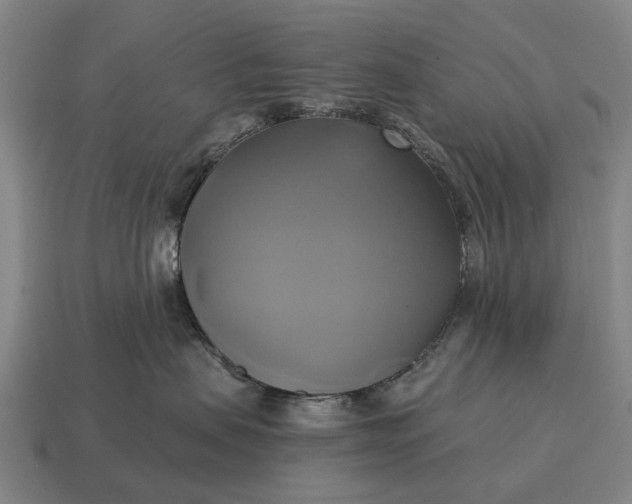 X0000115090479200911101527