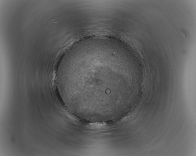 X0000115090480200911101527