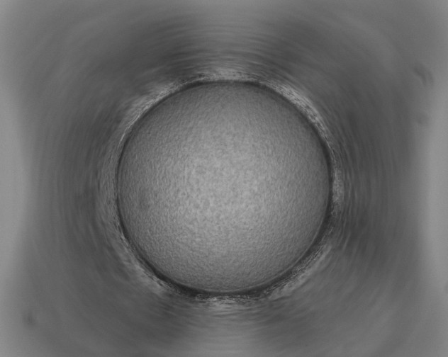 X0000115090481200911101527