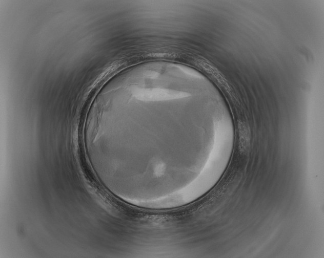 X0000115090482200911101527