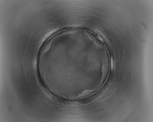 X0000115090483200911101527