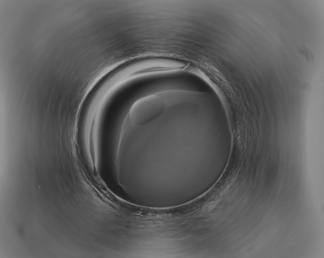 X0000115090484200911101527