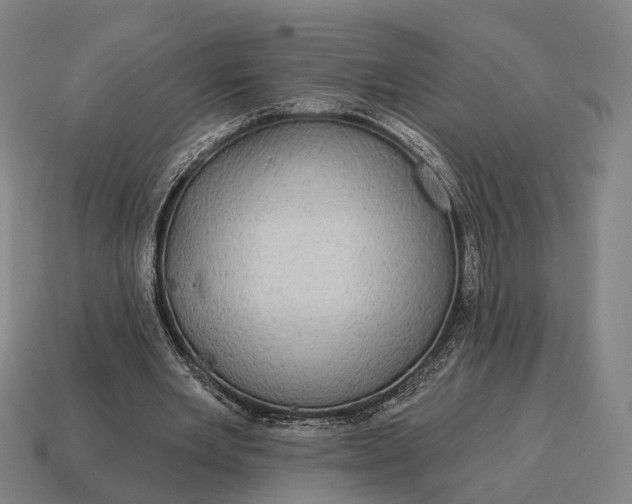 X0000115090485200911101527