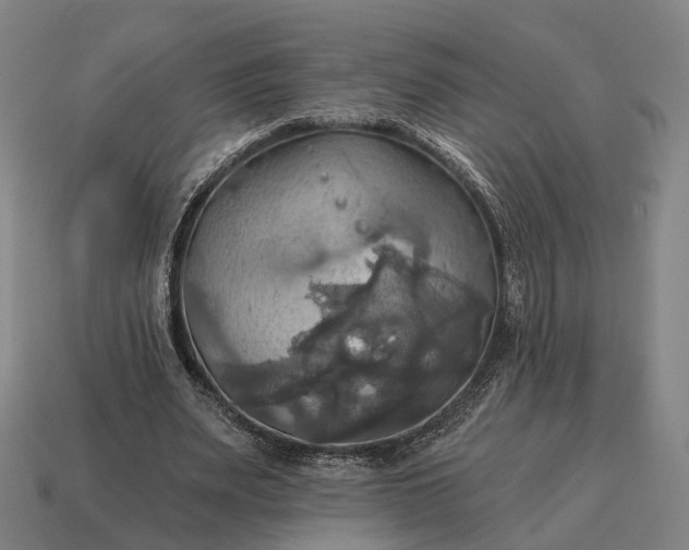 X0000115090487200911101527