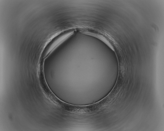 X0000115090488200911101527