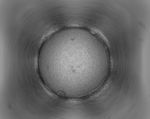 X0000115090489200911101527