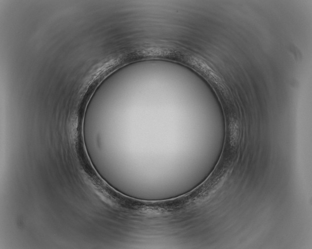 X0000115090490200911101527