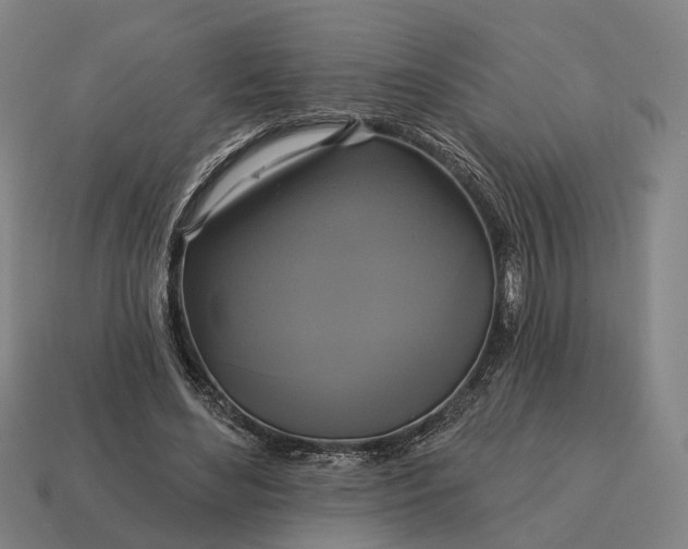X0000115090492200911101527