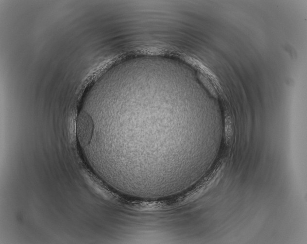 X0000115090493200911101527
