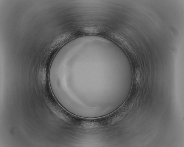 X0000115090494200911101527