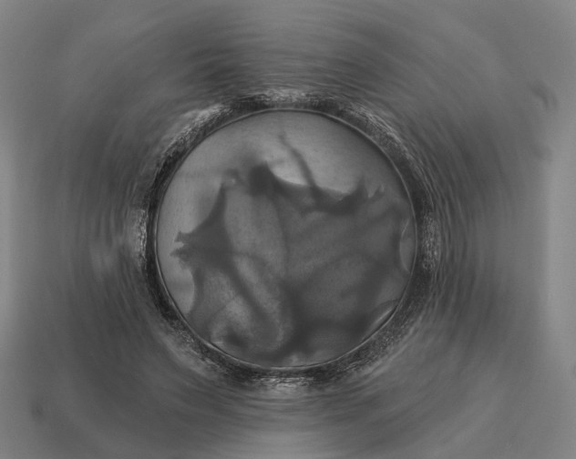 X0000115090495200911101527