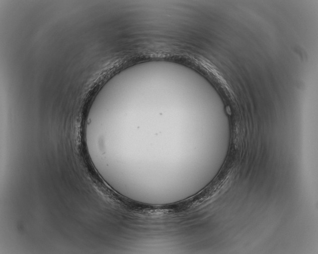 X0000115090497200911101527