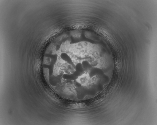 X0000115090499200911101527