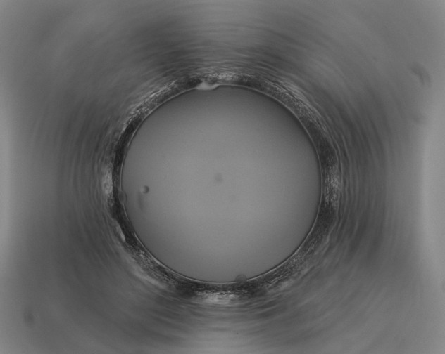 X0000115090500200911101527