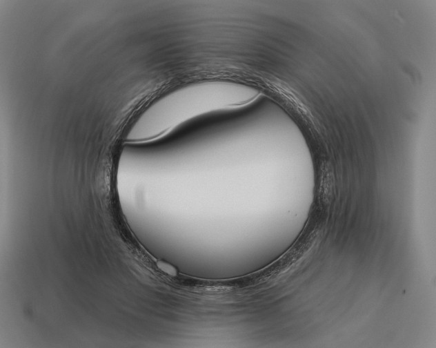 X0000115090501200911101526
