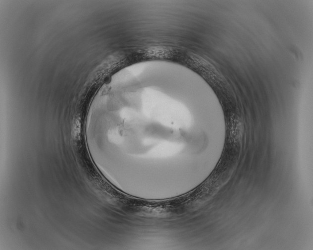 X0000115090502200911101526