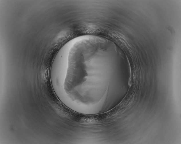X0000115090503200911101526