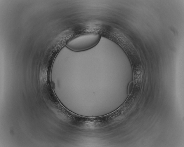 X0000115090504200911101526