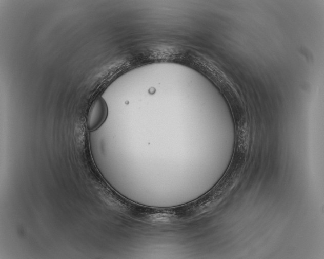 X0000115090505200911101526