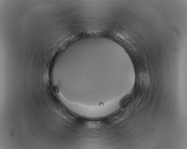 X0000115090508200911101526