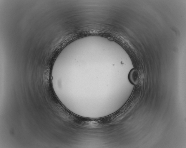 X0000115090509200911101526