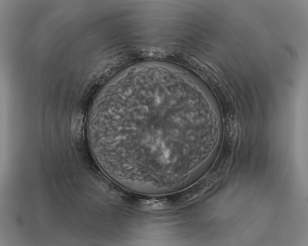 X0000115090511200911101526