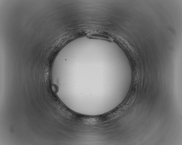 X0000115090513200911101526