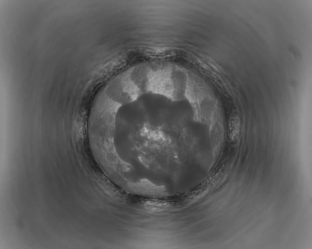 X0000115090515200911101526