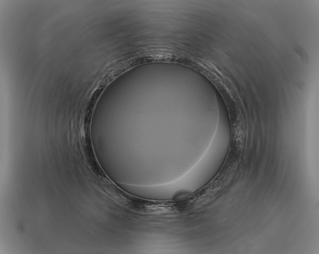 X0000115090516200911101526