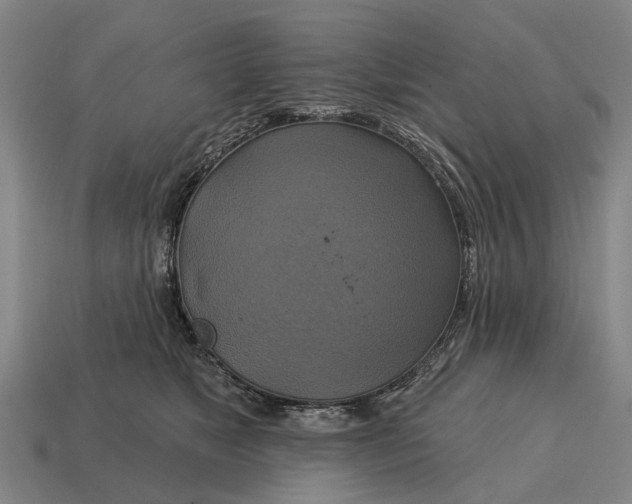 X0000115090517200911101526