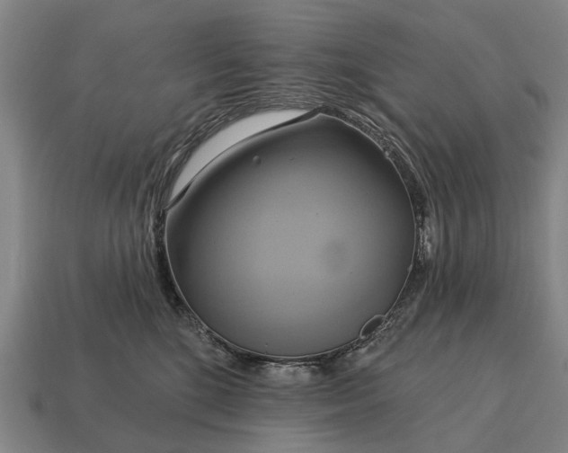 X0000115090520200911101526